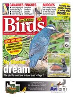 Cage & Aviary Birds